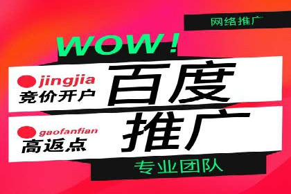 竞价推广SEM托管策略优化——某科技公司的成功经验